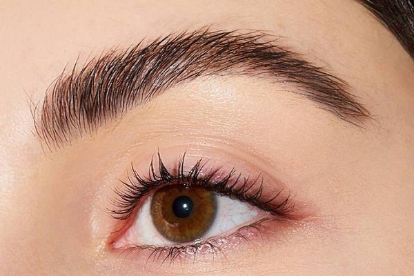 پالت سایه ابرو فول فیلد شیگلم