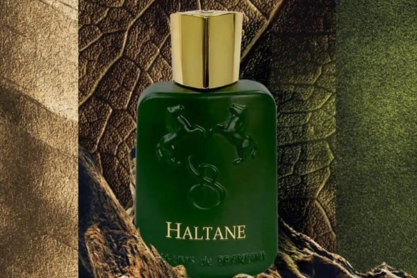 هالتین - هالتان ادو پرفیوم مردانه برندینی