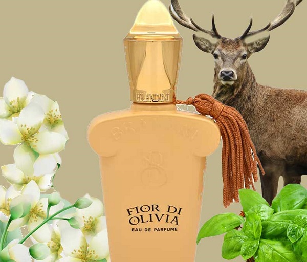 فیور دی الیویا ادو پرفیوم زنانه برندینی فیور دی الیویا ادو پرفیوم زنانه برندینی