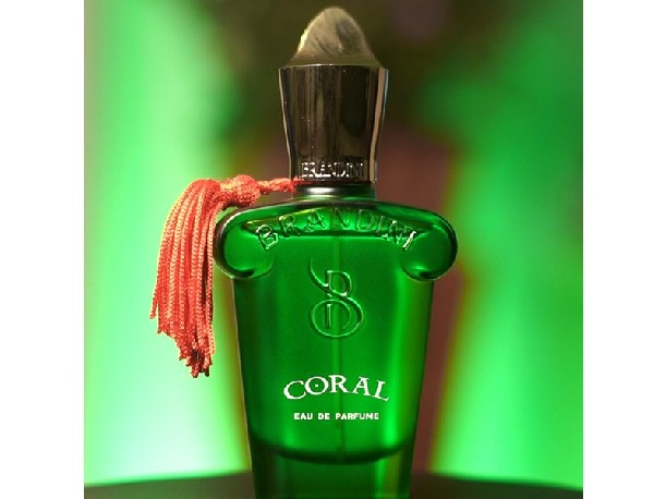 کورال ادو پرفیوم مردانه برندینی