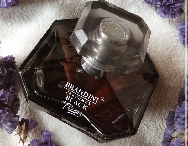 ترزور بلک ادو پرفیوم زنانه برندینی - ترزر بلک ادو پرفیوم زنانه برندینی ترزور بلک ادو پرفیوم زنانه برندینی - ترزر بلک ادو پرفیوم زنانه برندینی